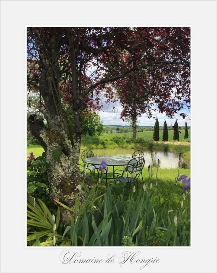 Domaine De Hongrie Hotel Nogaro Luaran gambar
